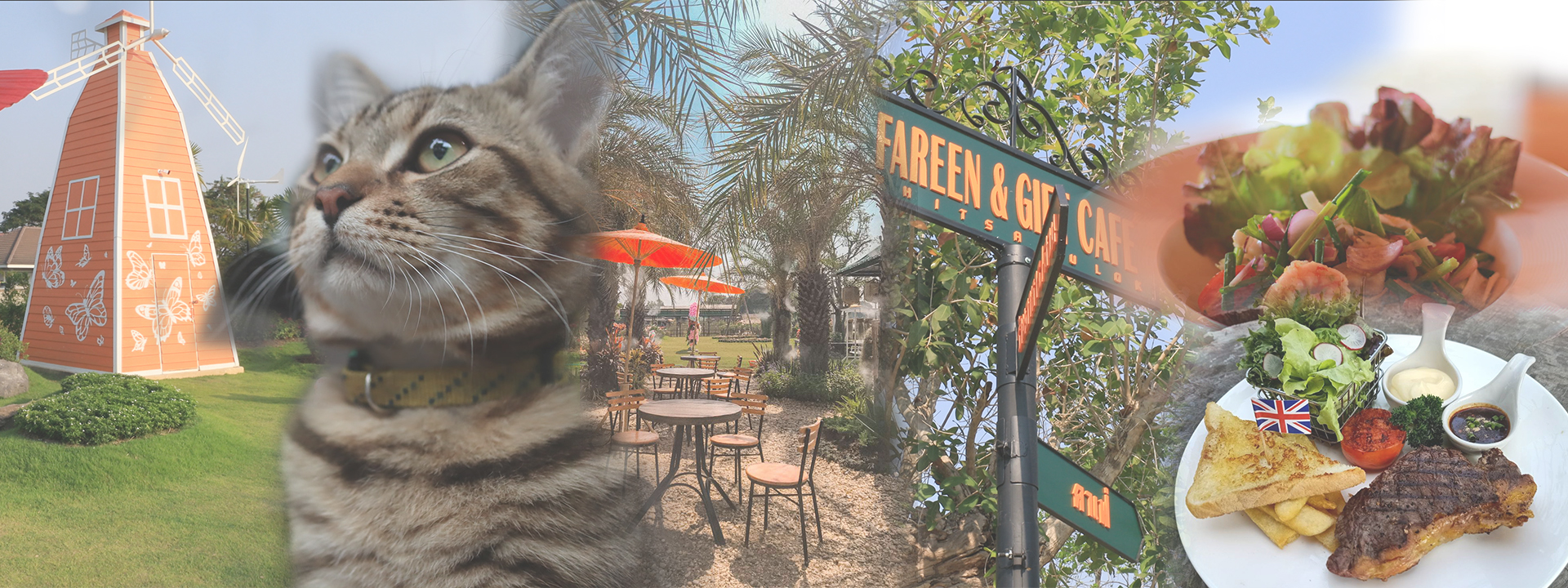 สวัสดี FAREEN & GIFT CAFE