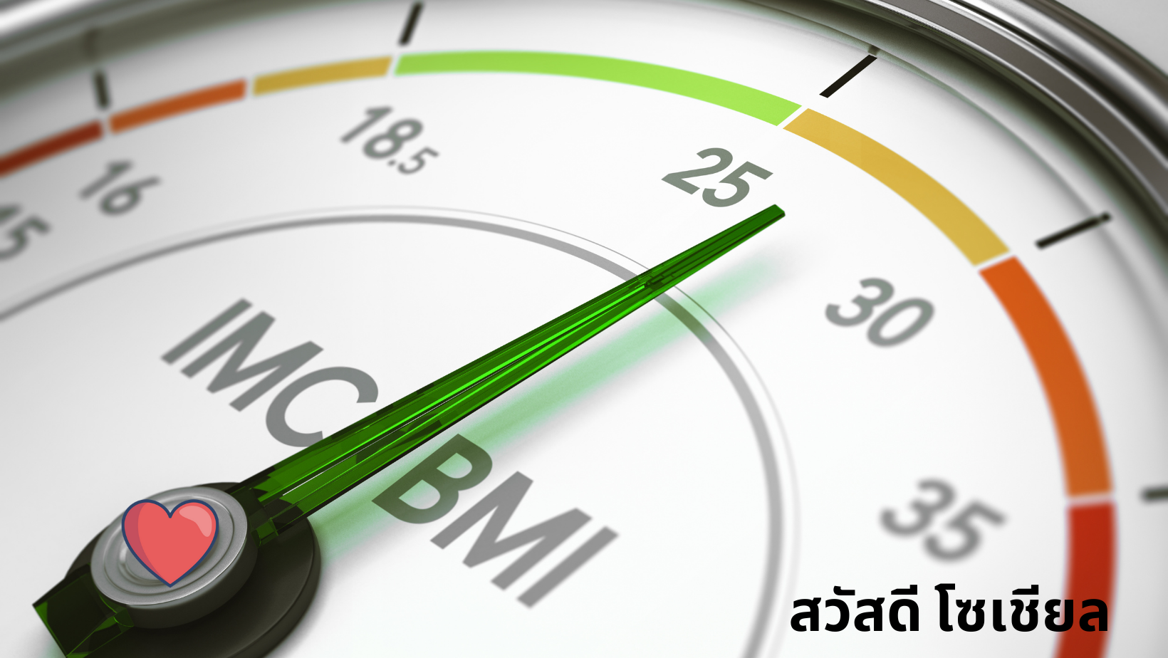 สวัสดี sawadd bmi