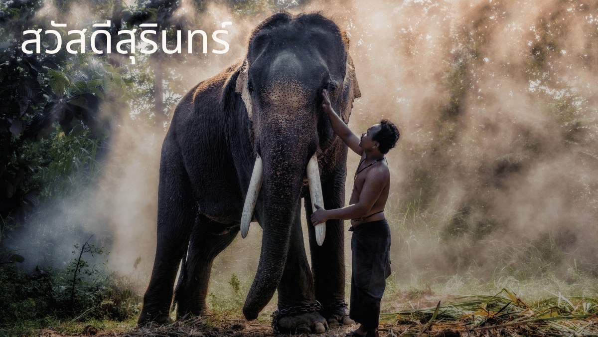 สวัสดี สุรินทร์ เที่ยวไทย amazing thailand sawadd