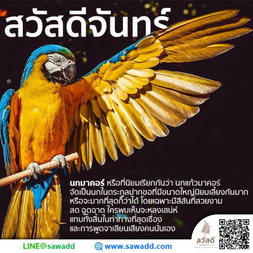 สวัสดี สวัสดีวันจันทร์ดอกไม้ sawadd 012