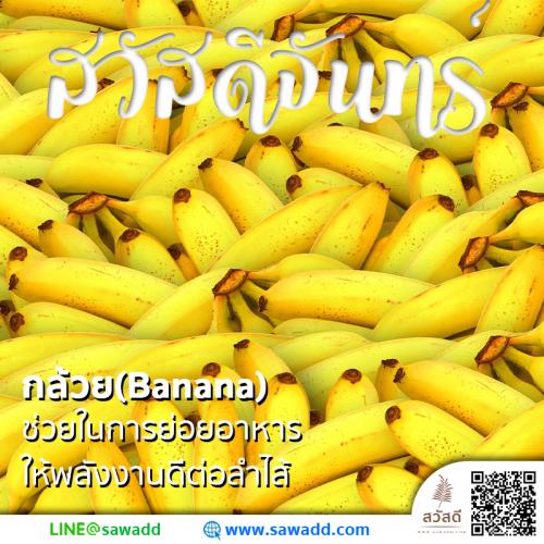 สวัสดี สวัสดีวันจันทร์ดอกไม้ sawadd 014