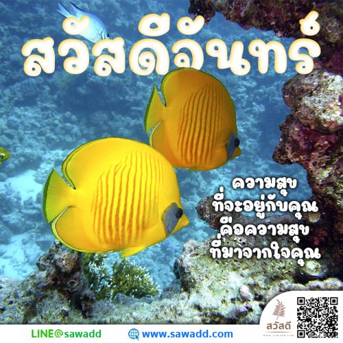 สวัสดี สวัสดีวันจันทร์ดอกไม้ sawadd 021