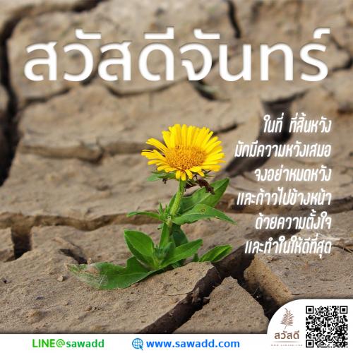 สวัสดี สวัสดีวันจันทร์ดอกไม้ sawadd 023