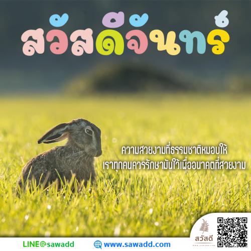 สวัสดี สวัสดีวันจันทร์ดอกไม้ sawadd 026