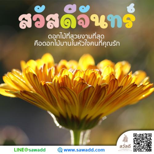 สวัสดี สวัสดีวันจันทร์ดอกไม้ sawadd 028