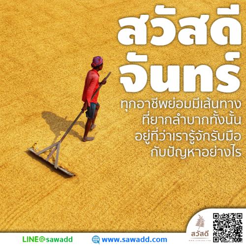 สวัสดี สวัสดีวันจันทร์ดอกไม้ sawadd 034