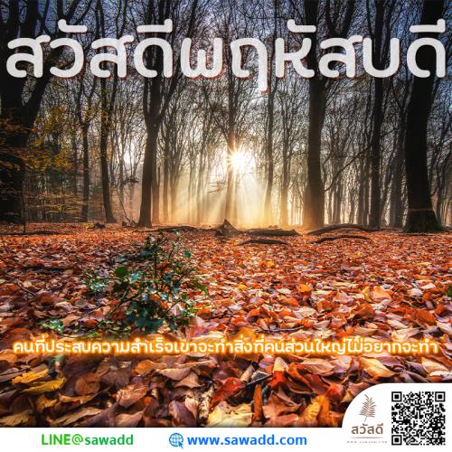 สวัสดี สวัสดีวันพฤหัสบดีดอกไม้ sawadd 011