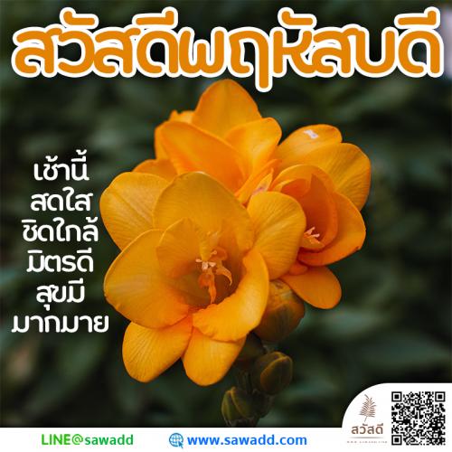 สวัสดี สวัสดีวันพฤหัสบดีดอกไม้ sawadd 015