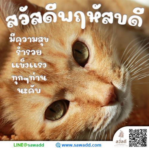 สวัสดี สวัสดีวันพฤหัสบดีดอกไม้ sawadd 023