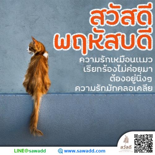 สวัสดี สวัสดีวันพฤหัสบดีดอกไม้ sawadd 024