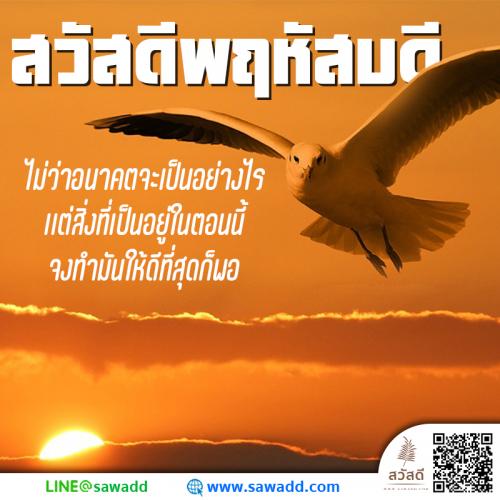 สวัสดี สวัสดีวันพฤหัสบดีดอกไม้ sawadd 027