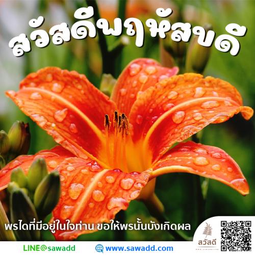 สวัสดี สวัสดีวันพฤหัสบดีดอกไม้ sawadd 029