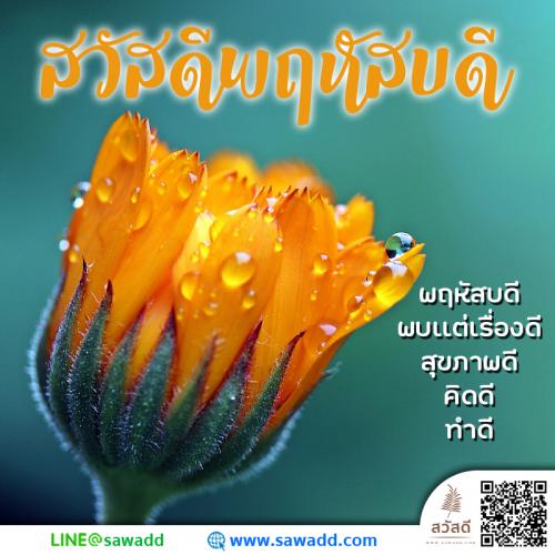 สวัสดี สวัสดีวันพฤหัสบดีดอกไม้ sawadd 030