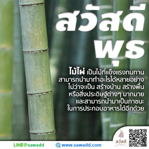 สวัสดี สวัสดีวันพุธดอกไม้ sawadd 016