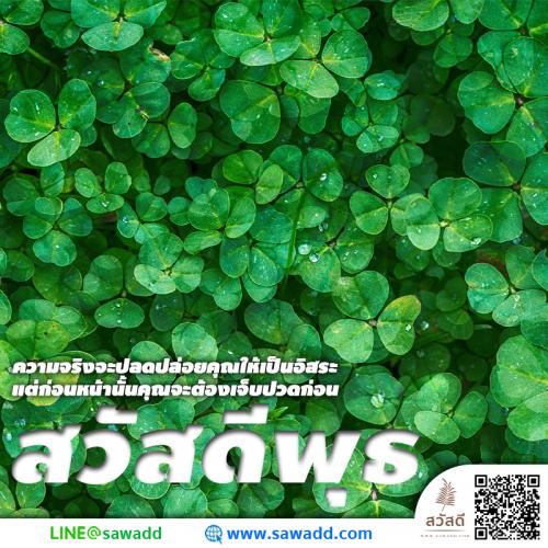 สวัสดี สวัสดีวันพุธดอกไม้ sawadd 019