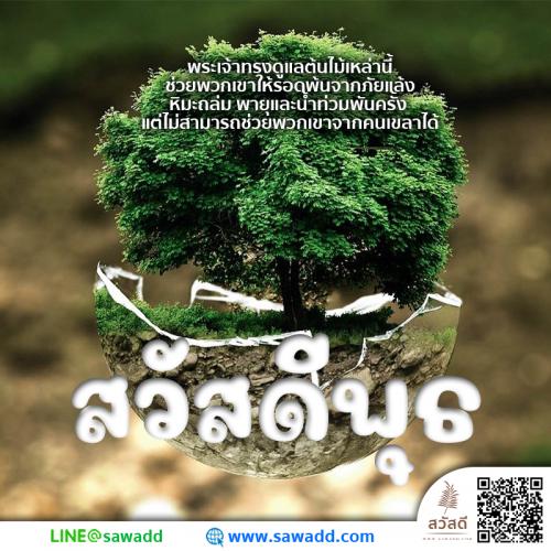 สวัสดี สวัสดีวันพุธดอกไม้ sawadd 023