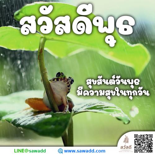 สวัสดี สวัสดีวันพุธดอกไม้ sawadd 025 