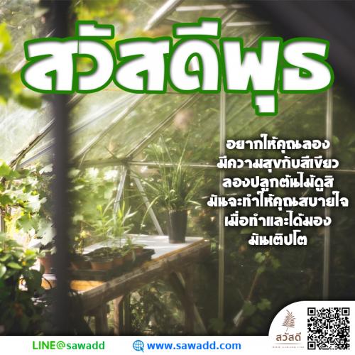 สวัสดี สวัสดีวันพุธดอกไม้ sawadd 028 