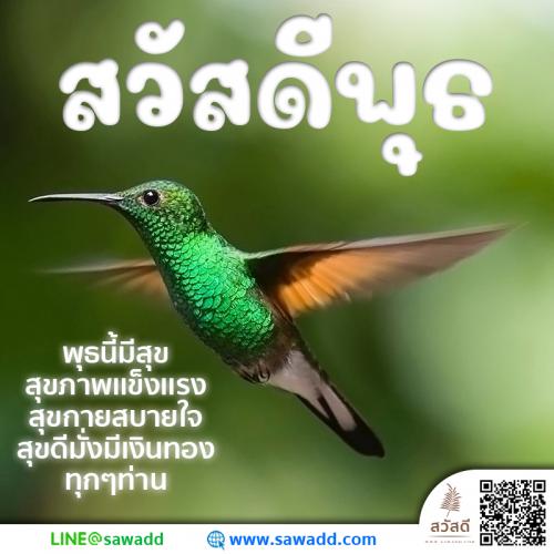 สวัสดี สวัสดีวันพุธดอกไม้ sawadd 029 