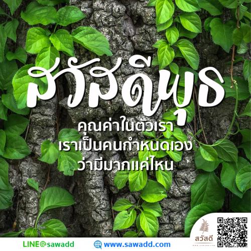 สวัสดี สวัสดีวันพุธดอกไม้ sawadd 031