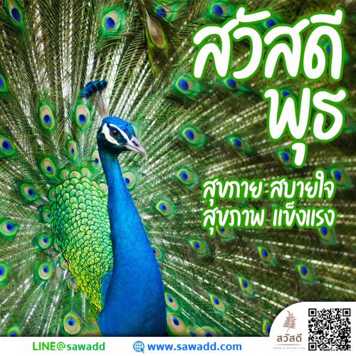 สวัสดี สวัสดีวันพุธดอกไม้ sawadd 035 