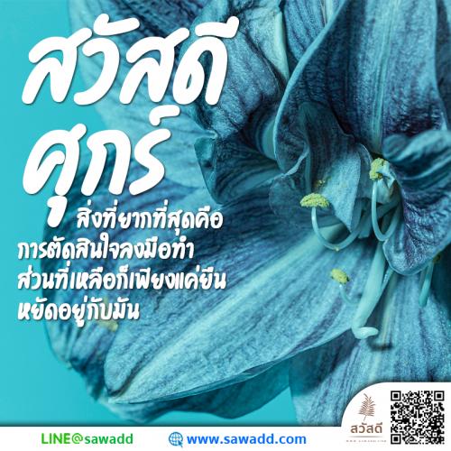สวัสดี สวัสดีวันศุกร์ดอกไม้ sawadd 011