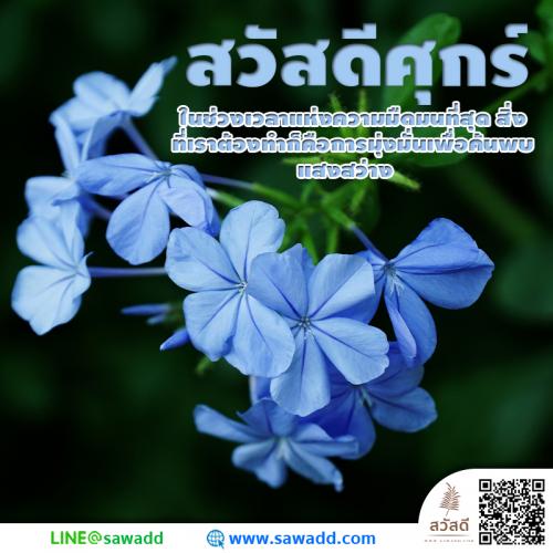 สวัสดี สวัสดีวันศุกร์ดอกไม้ sawadd 012