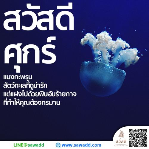 สวัสดี สวัสดีวันศุกร์ดอกไม้ sawadd 022