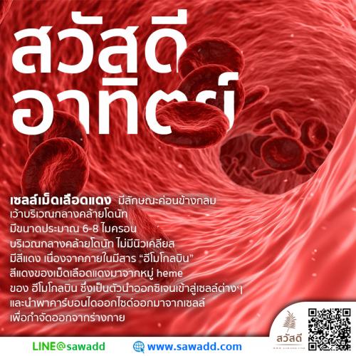 สวัสดี สวัสดีวันอาทิตย์ดอกไม้ sawadd 014