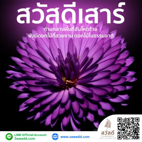 สวัสดี สวัสดีวันเสาร์ดอกไม้ sawadd 006
