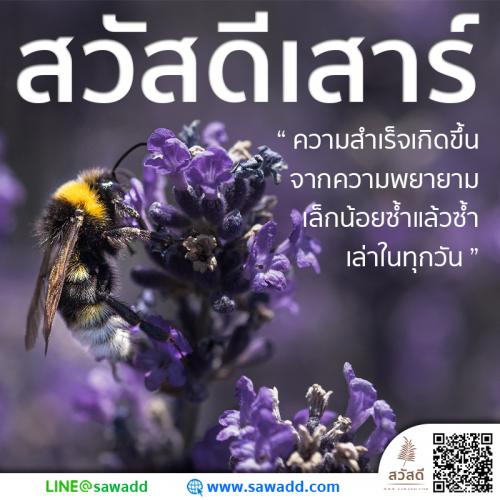 สวัสดี สวัสดีวันเสาร์ดอกไม้ sawadd 012