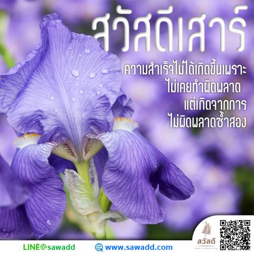 สวัสดี สวัสดีวันเสาร์ดอกไม้ sawadd 016