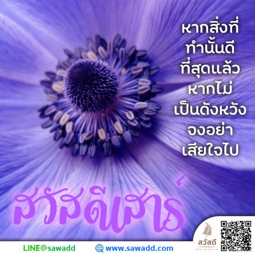 สวัสดี สวัสดีวันเสาร์ดอกไม้ sawadd 022