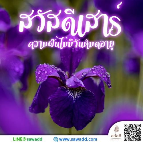 สวัสดี สวัสดีวันเสาร์ดอกไม้ sawadd 026