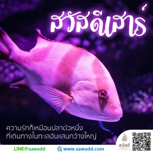 สวัสดี สวัสดีวันเสาร์ดอกไม้ sawadd 030